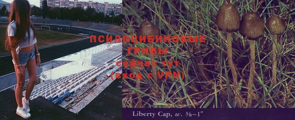 синтетический гашиш Липки