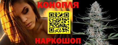 СК Краснодар