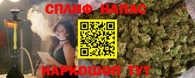 СК Краснодар