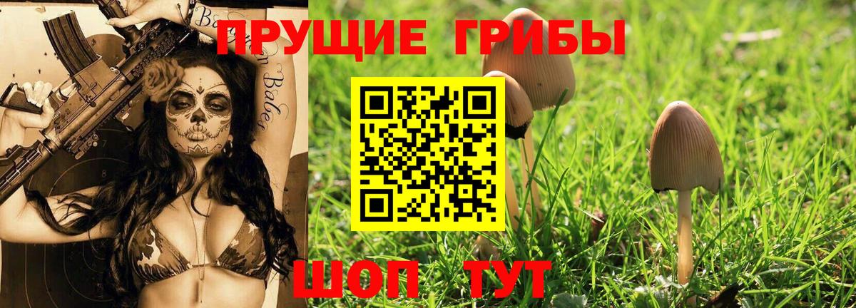 Псилоцибиновые грибы MAGIC MUSHROOMS Янаул