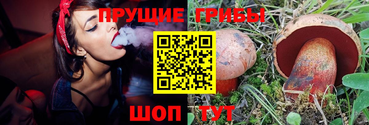 Янаул  Галлюциногенные грибы Psilocybine cubensis  Вход с VPN 